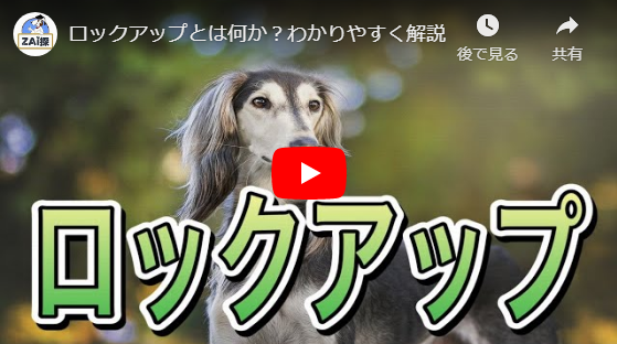 ロックアップとは何か?わかりやすく解説