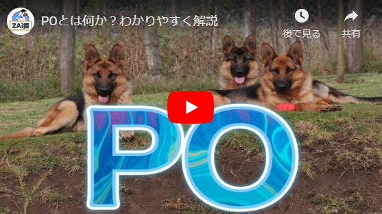 POとは何か?わかりやすく解説