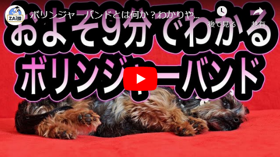 ボリンジャーバンドとは何か?わかりやすく解説