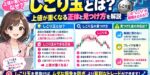 しこり玉とは？上値が重くなる正体と見つけ方を解説