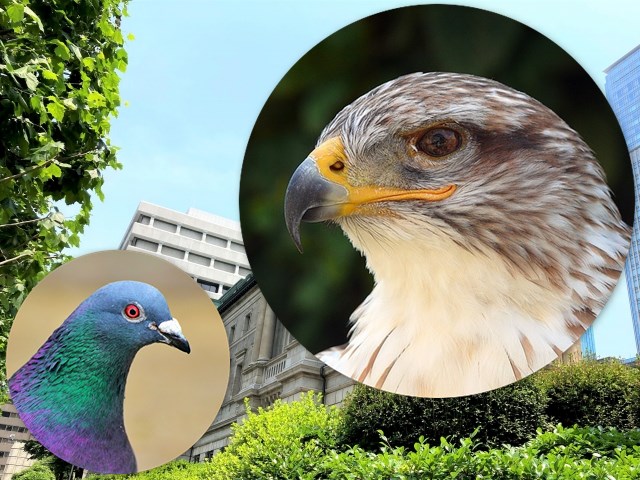 タカ派、ハト派とは何か?わかりやすく解説