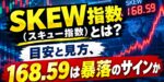 SKEW指数（スキュー指数）とは？目安と見方、168.59は暴落のサインか｜1990年からの実測とVIXとの違い